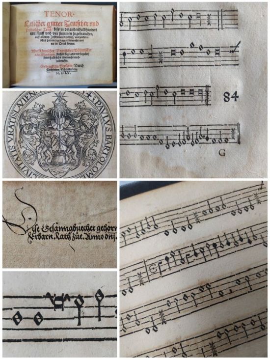 155 Tänze aus dem Jahr 1555 - Project Image