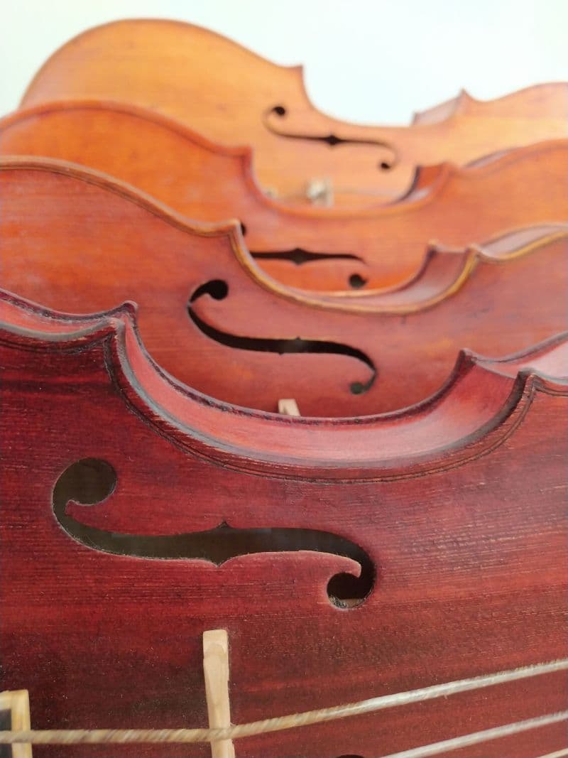Geigenconsort